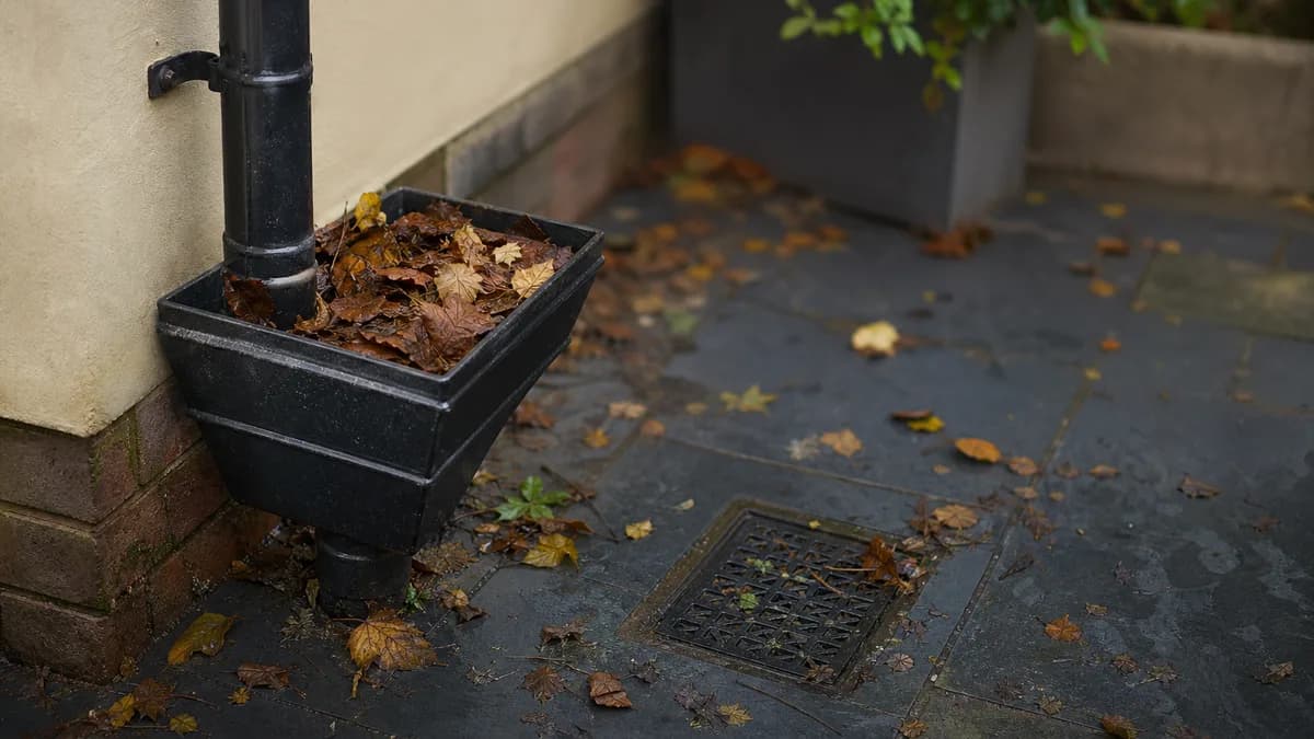 Cover image for Essential Maintenance for Outdoor Plumbing and Gutters